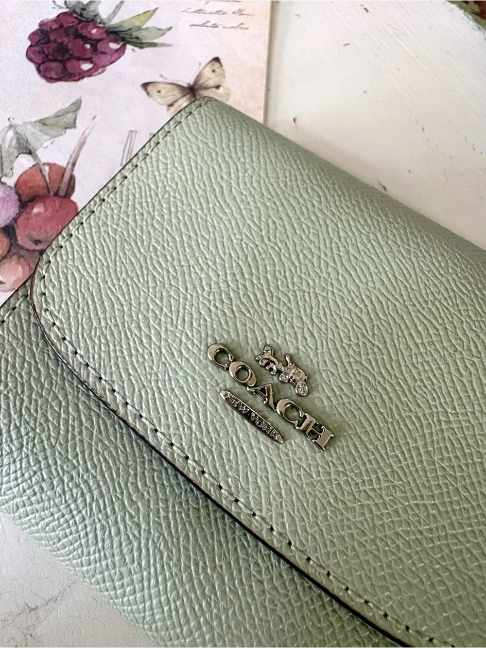 EUC Coach Small Trifold Wallet Leather Pale Pistachio Green Silver